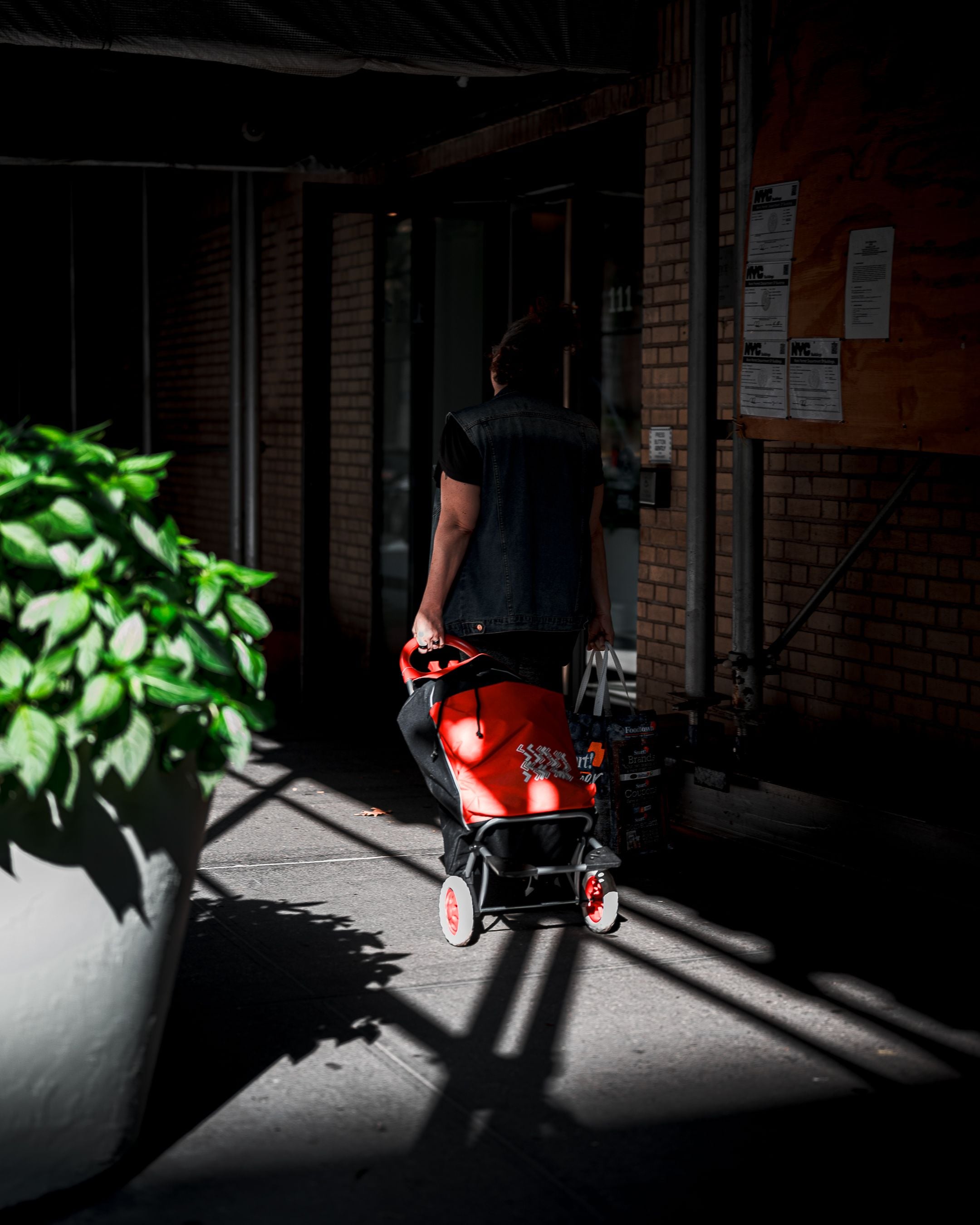 red cart